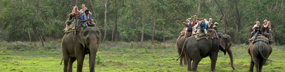 Koshi Tappu Wildlife Reserve